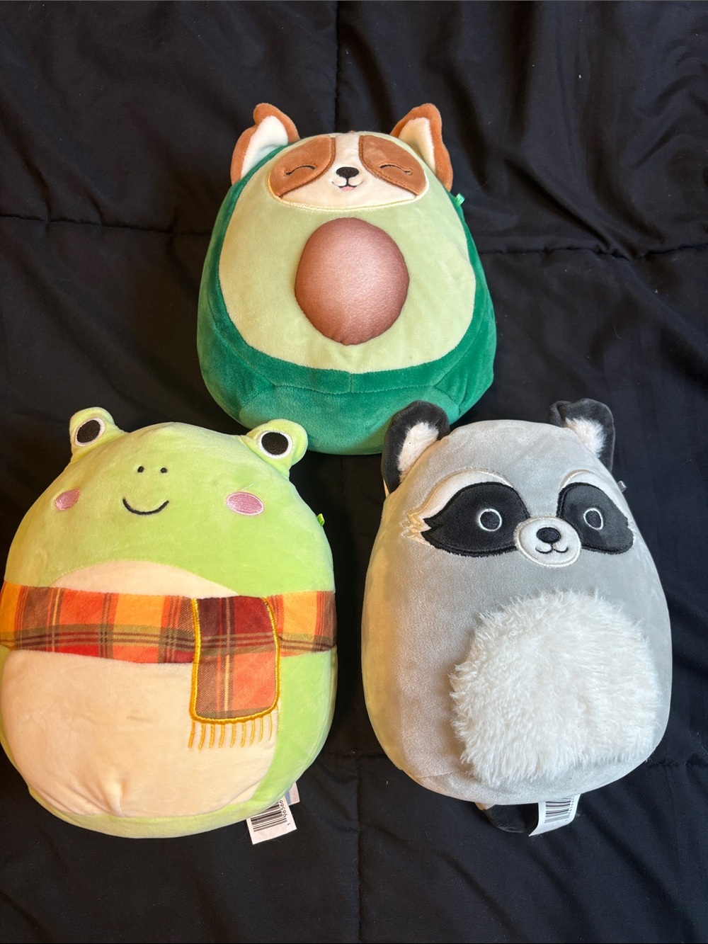 Squishmallow Plush Frog, Raccoon & Avocado dog